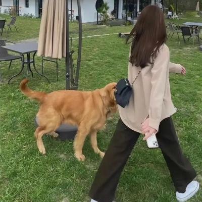 浪子挑情